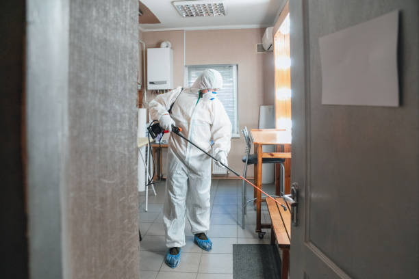 Mold Remediation for Vacation Homes in Gainesville, FL